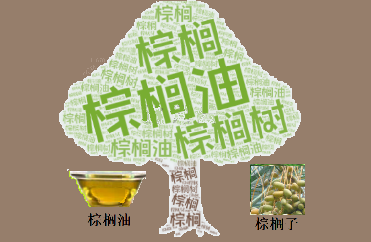 棕榈油短线“赛点”来临：技术面发出买入信号，但高库存仍是隐形炸弹(1)